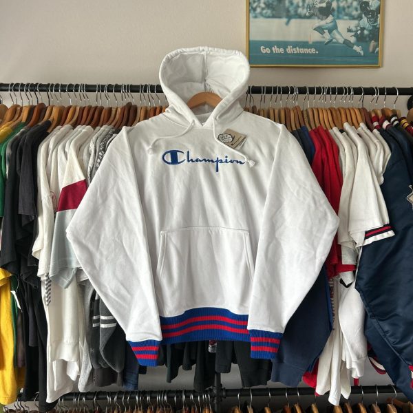Champion Men's multi Hoodie